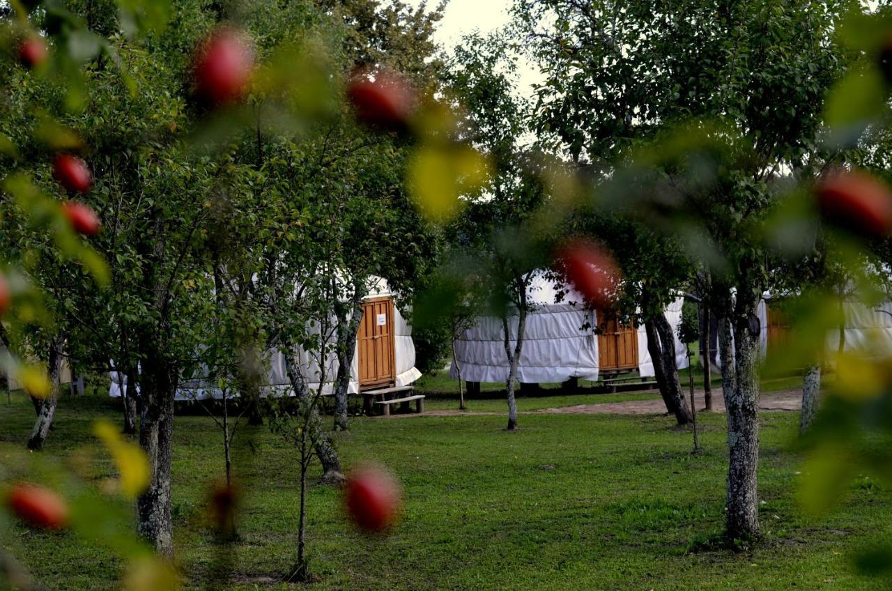 Orallo Szer Őriszentpéter Extérieur photo